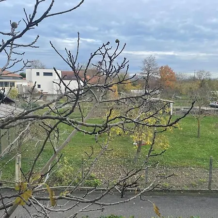 La Grange Proche D'europapark * Kunheim