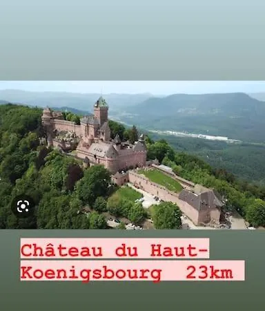 La Grange Proche D'europapark Daire