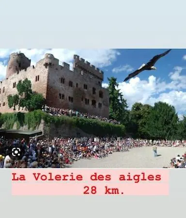 La Grange Proche D'europapark Апартаменты