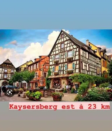 Daire La Grange Proche D'europapark Kunheim